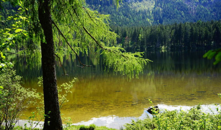 view on Ödensee Styria Austria