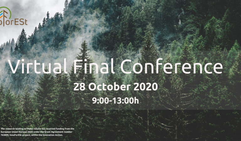 InnoForESt final conference
