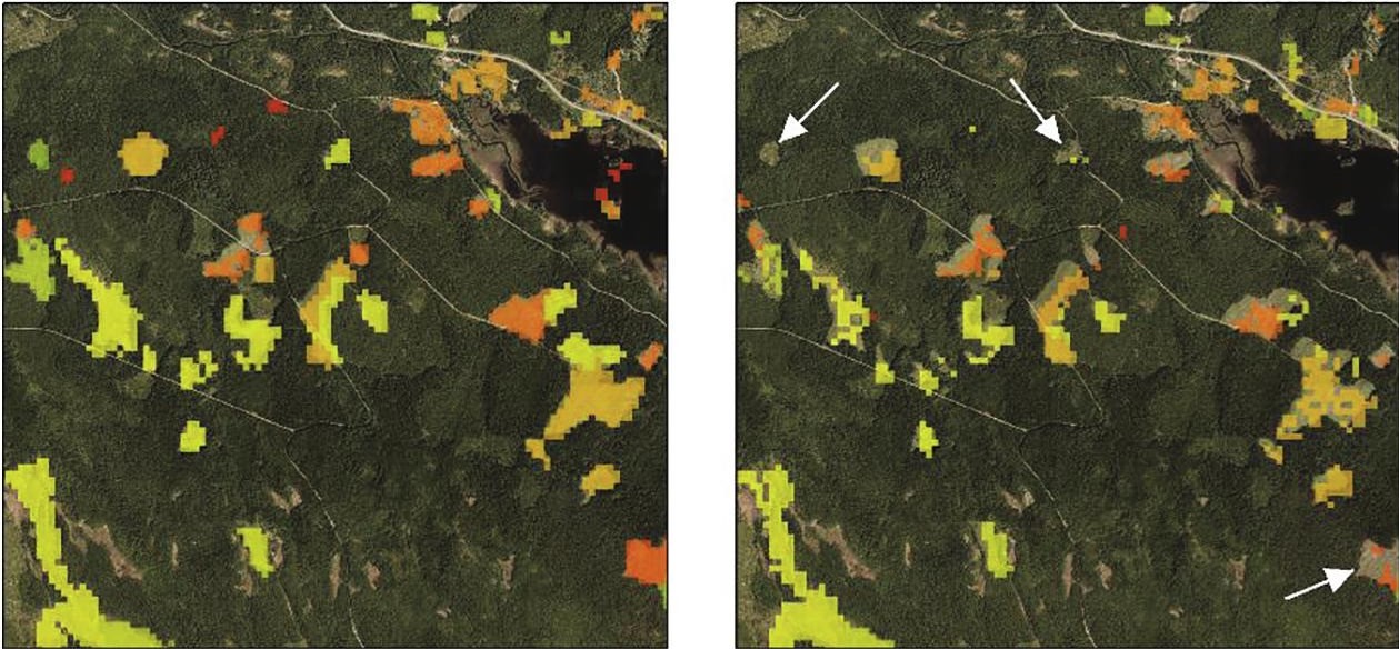 remotely sensed forest stand geodata